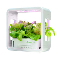 Aspara SmartPot aspara by GrowGreen Stylist Lite Smart Grower