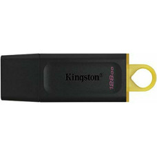 Kingston USB Zibatmiņa Kingston DTX/128GB Melns 128 GB